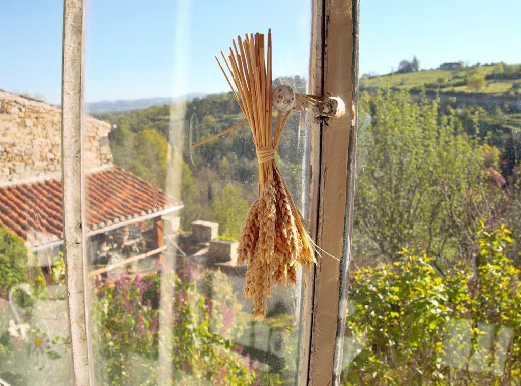 Ermitage Saint Vincent B&B Vieille-Brioude Kültér fotó