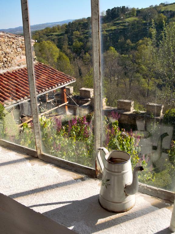 Ermitage Saint Vincent B&B Vieille-Brioude Kültér fotó