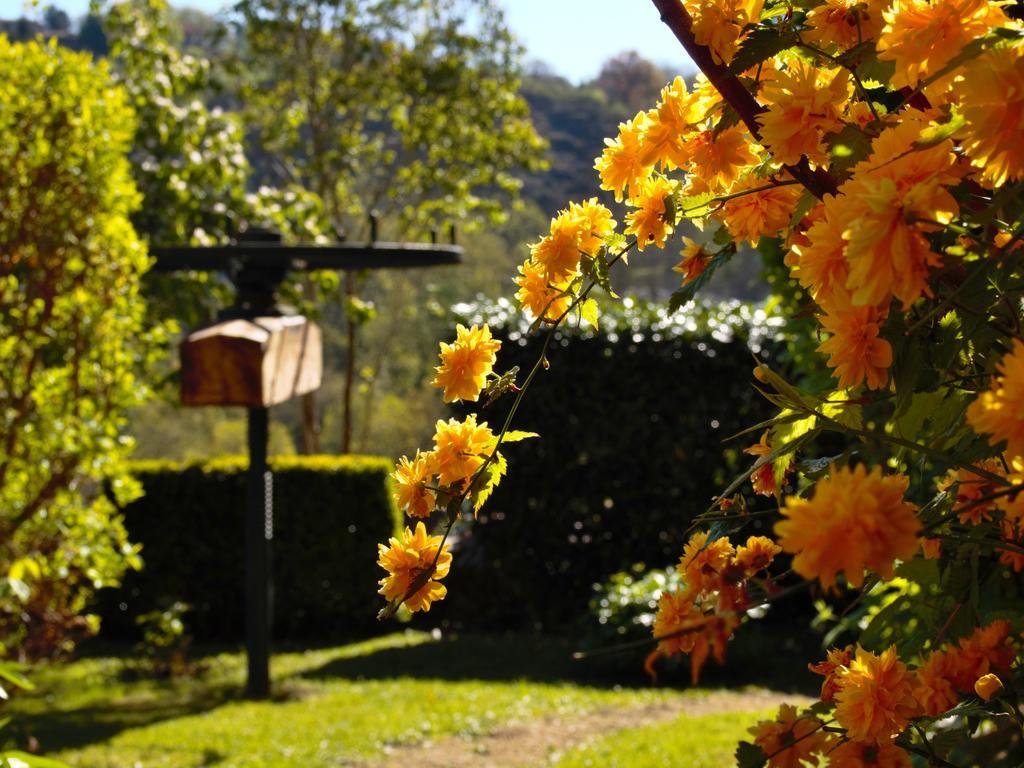Ermitage Saint Vincent B&B Vieille-Brioude Kültér fotó