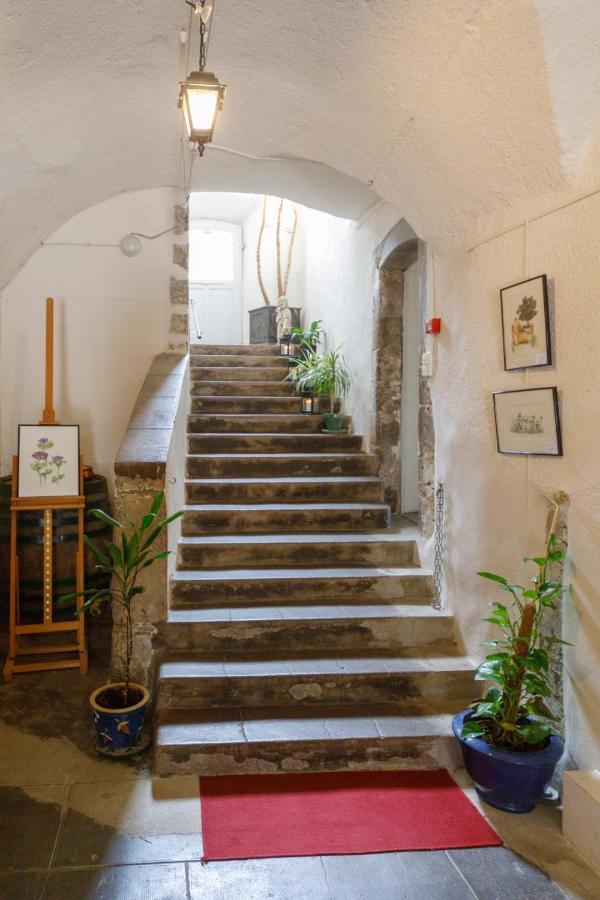 Ermitage Saint Vincent B&B Vieille-Brioude Kültér fotó